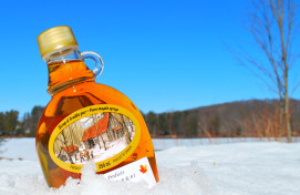 Package Maple in Muskoka...Sweet Retreat