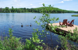 Package Mid Week Stay in May