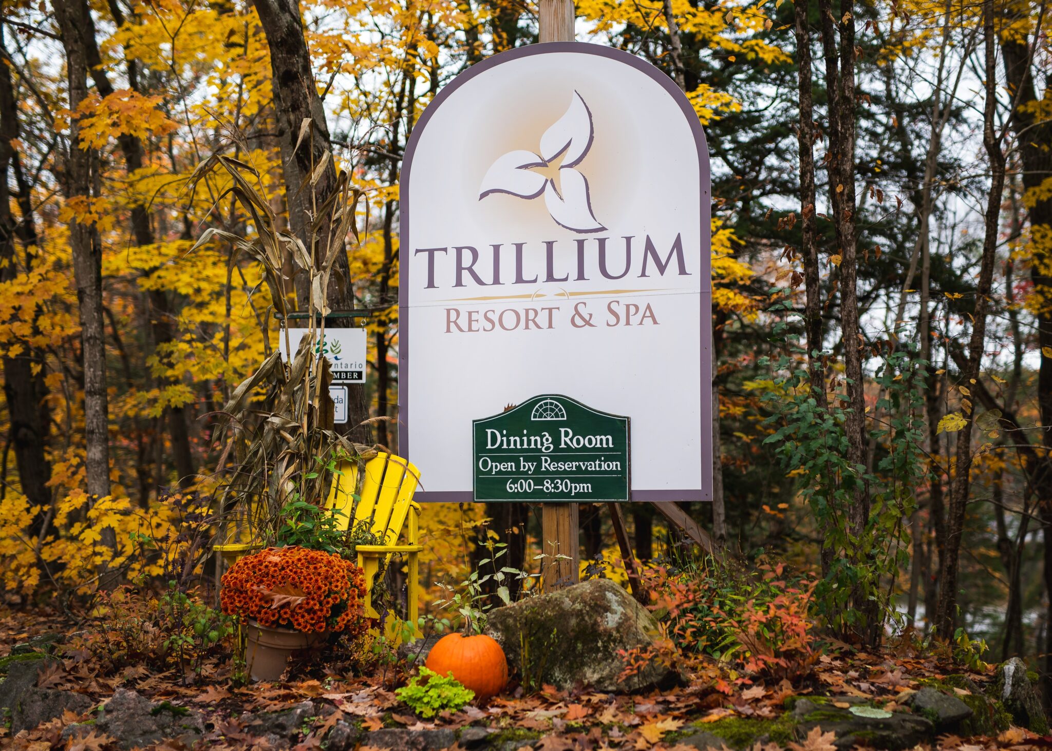 Trillium Resort and Spa entrance sign with vibrant fall foliage pumpkins and Adirondack chair in autumn Muskoka Huntsville Port Sydney