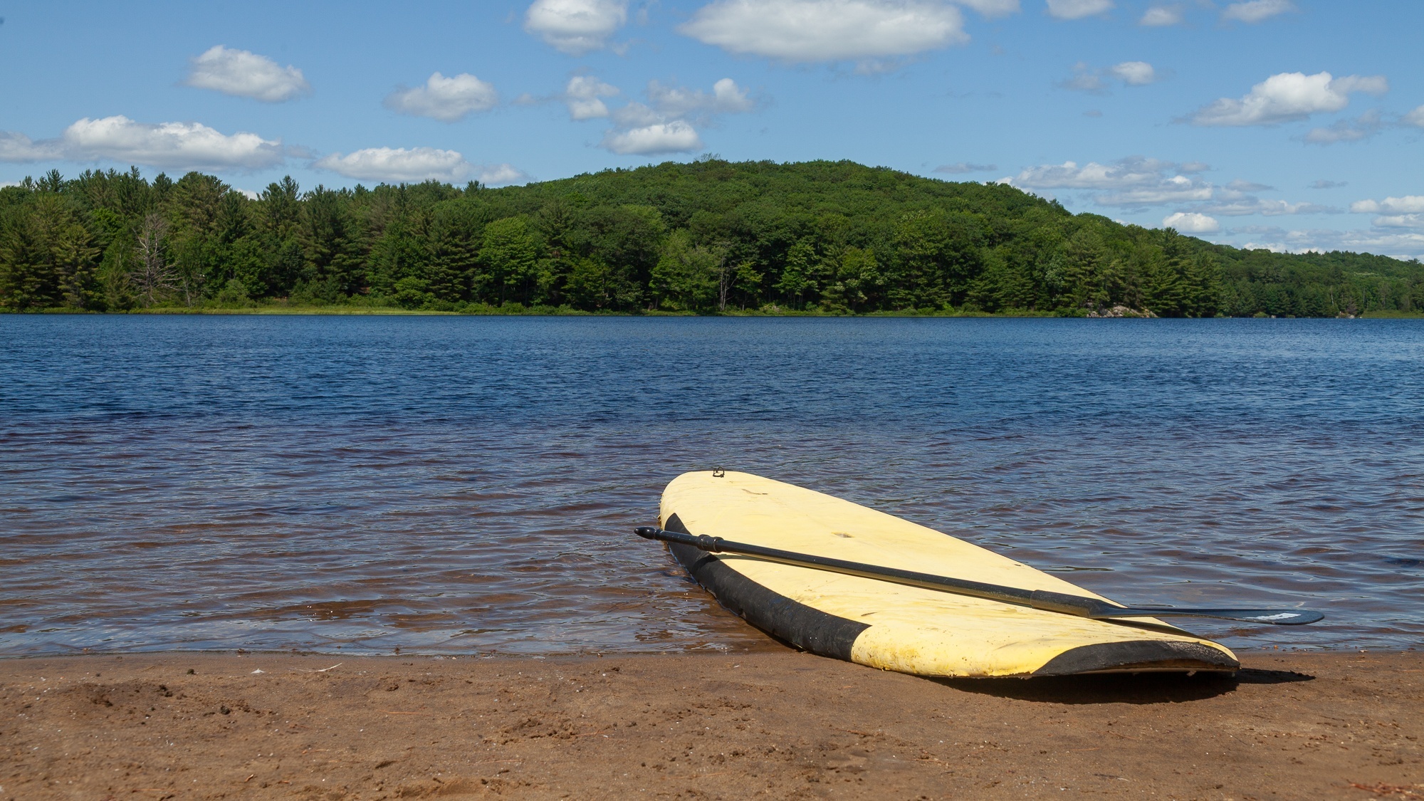 A paddleboard on sandy beach by Muskoka semi-private beach at Trillium Resort and Spa perfect for couples retreat Port Sydney Huntsville